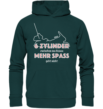 Goldwinger Spruch - 6 Zylinder - Organic Hoodie