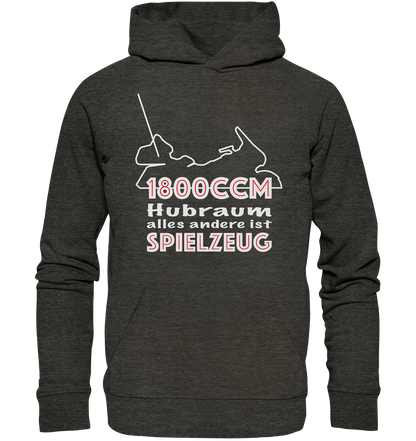 Goldwinger Spruch - 1800ccm Spielzeug - Organic Hoodie