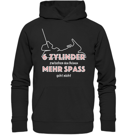 Goldwinger Spruch - 6 Zylinder - Organic Hoodie