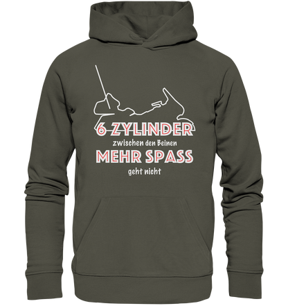 Goldwinger Spruch - 6 Zylinder - Organic Hoodie