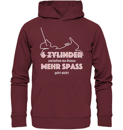 Goldwinger Spruch - 6 Zylinder - Organic Hoodie
