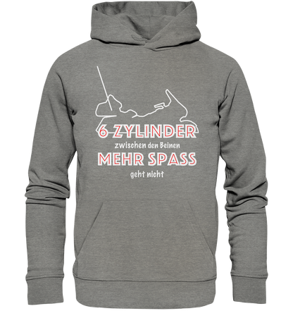 Goldwinger Spruch - 6 Zylinder - Organic Hoodie