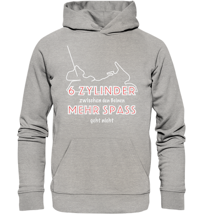 Goldwinger Spruch - 6 Zylinder - Organic Hoodie