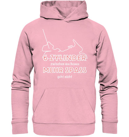 Goldwinger Spruch - 6 Zylinder - Organic Hoodie