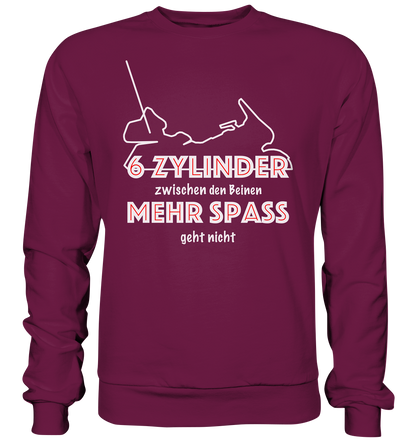 Goldwinger Spruch - 6 Zylinder - Premium Sweatshirt